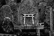 Fushimi-Inara Shrine Detail, Kyoto, Japan, 2011